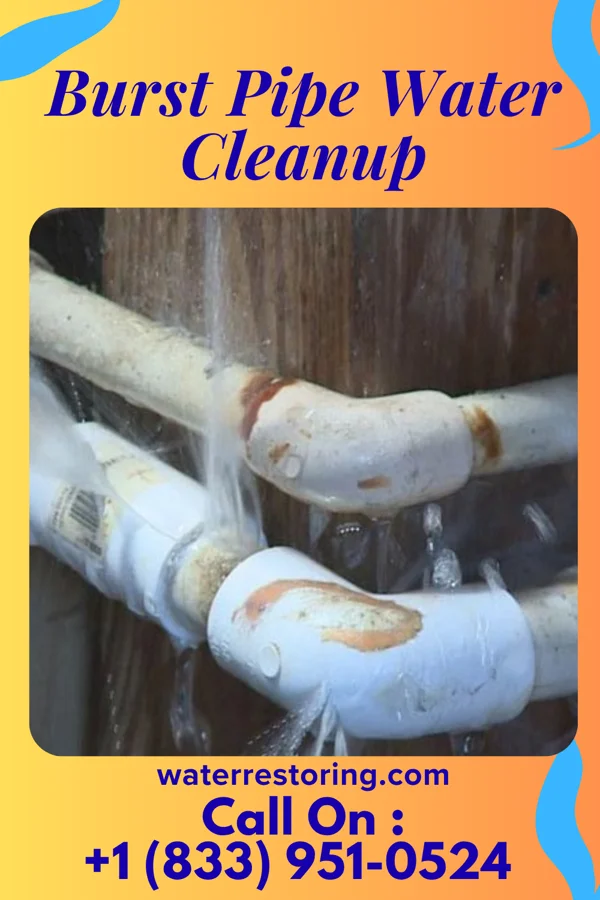 Burst Pipe Water Cleanup in Edgeley, ND